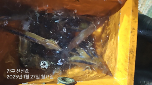 신신낚시 강구점 신신호_사진_20250128_9.jpg