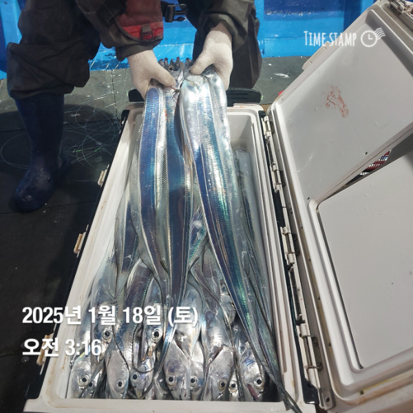 KakaoTalk_20250118_083514716_14.jpg