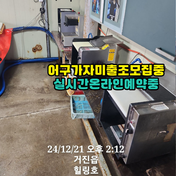 가자미어머니들2.jpg