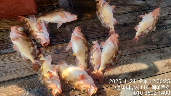 TimePhoto_20250121_120625.jpg