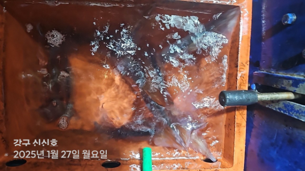 신신낚시 강구점 신신호_사진_20250128_19.jpg