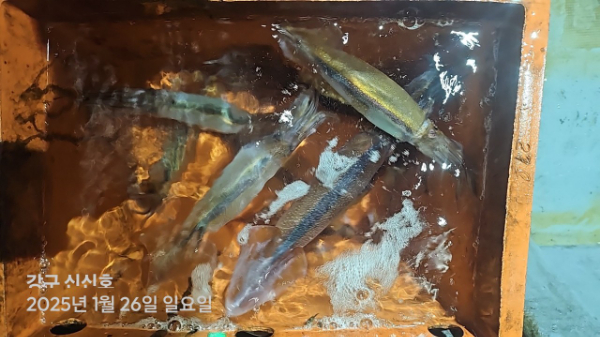 신신낚시 강구점 신신호_사진_20250127_13.jpg
