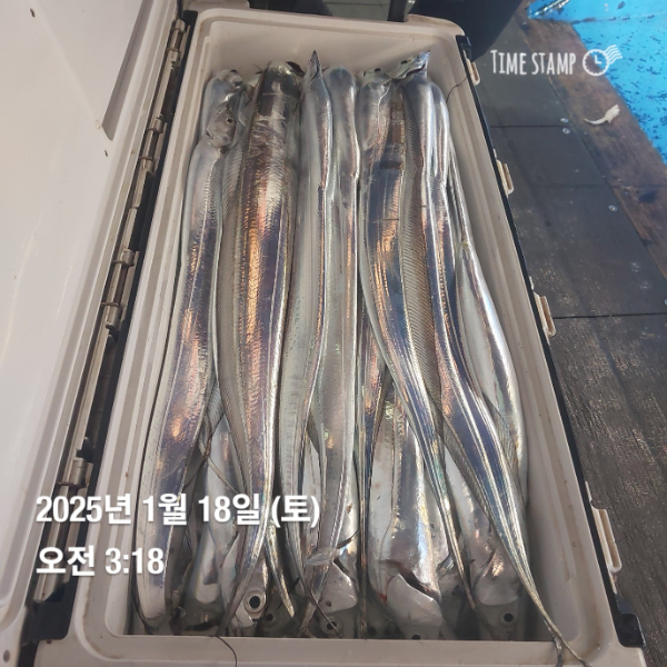 KakaoTalk_20250118_083514716_13.jpg