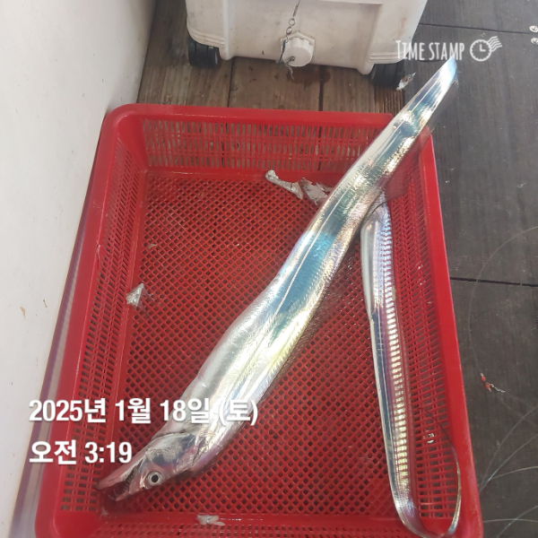 KakaoTalk_20250118_083514716.jpg