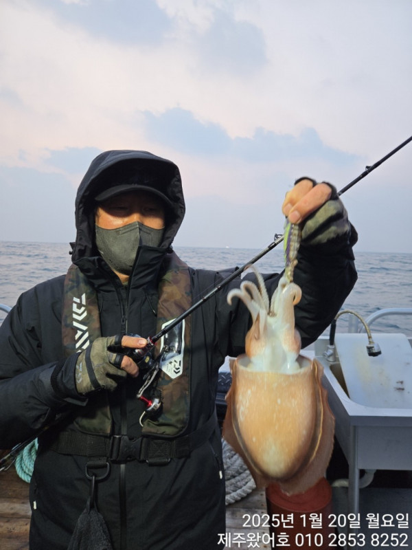 제주왔어호_사진_20250120_10.jpg