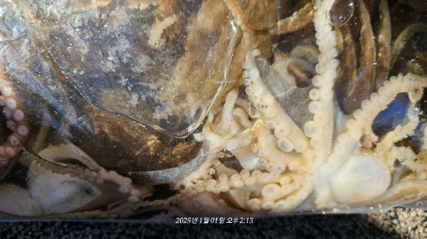 5e1558da563f9aac14fd00c040e698be.jpg