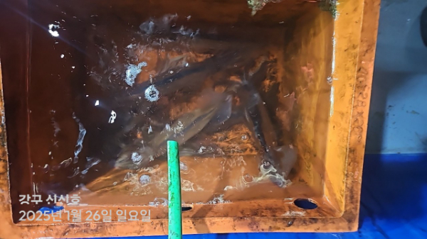신신낚시 강구점 신신호_사진_20250127_14.jpg