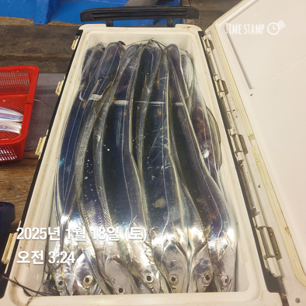 KakaoTalk_20250118_083514716_06.jpg
