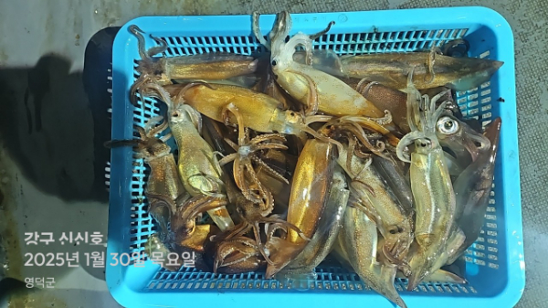 신신낚시 강구점 신신호_사진_20250131_18.jpg