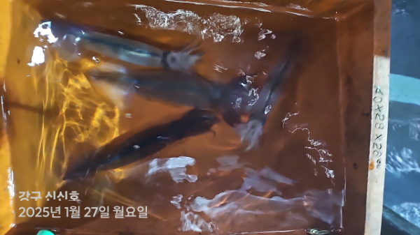 신신낚시 강구점 신신호_사진_20250128_18.jpg