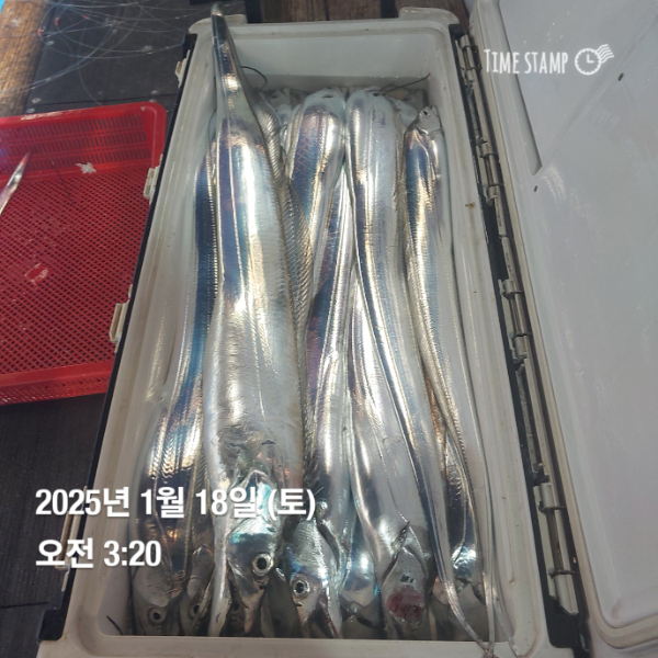 KakaoTalk_20250118_083514716_12.jpg