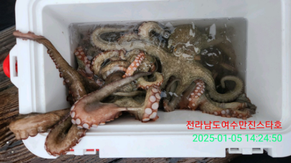 996a4e81dd24b86a34348b2a634738b7.jpg