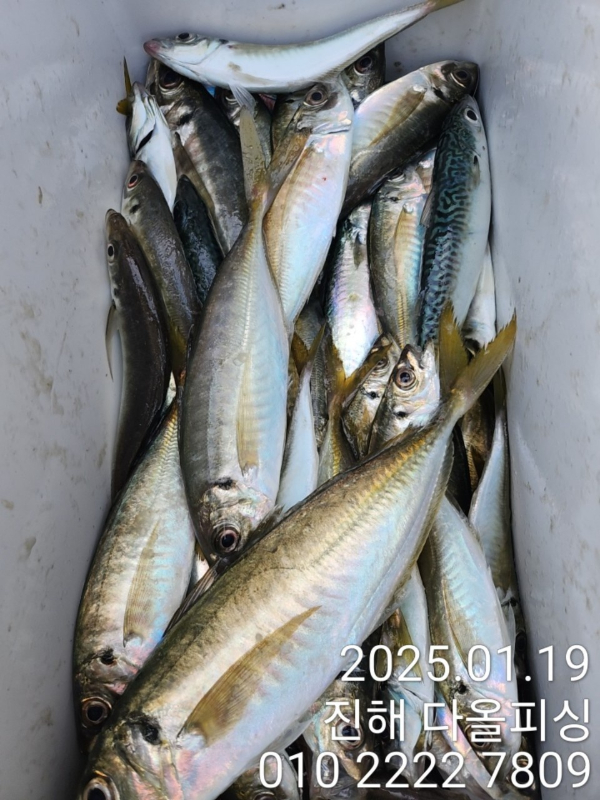 KakaoTalk_20250119_182630995_04.jpg