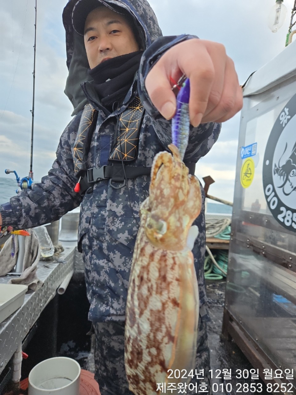 제주왔어호_사진_20250102_2.jpg