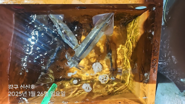 신신낚시 강구점 신신호_사진_20250127_16.jpg