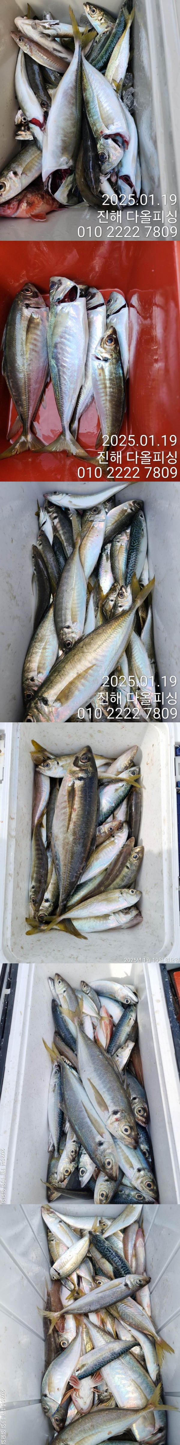KakaoTalk_20250119_182630995_02-down.jpg