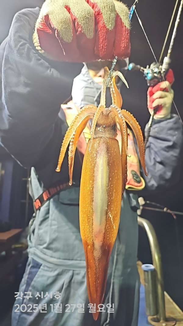신신낚시 강구점 신신호_사진_20250128_6.jpg