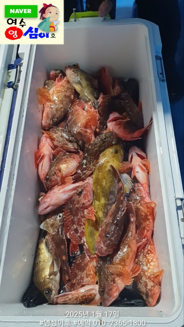 KakaoTalk_20250117_215650887_01.jpg