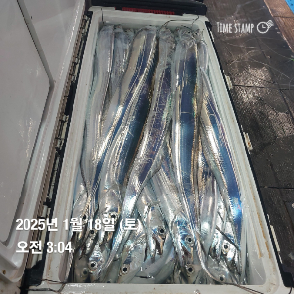 KakaoTalk_20250118_083514716_10.jpg