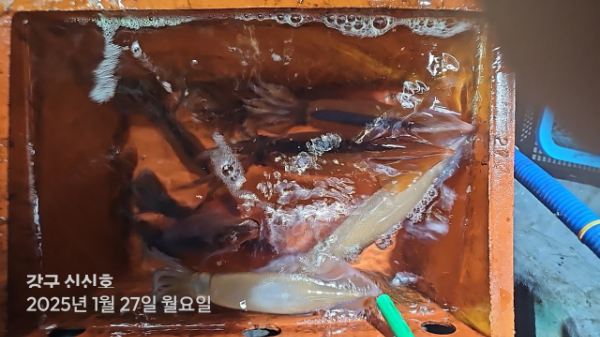 신신낚시 강구점 신신호_사진_20250128_16.jpg