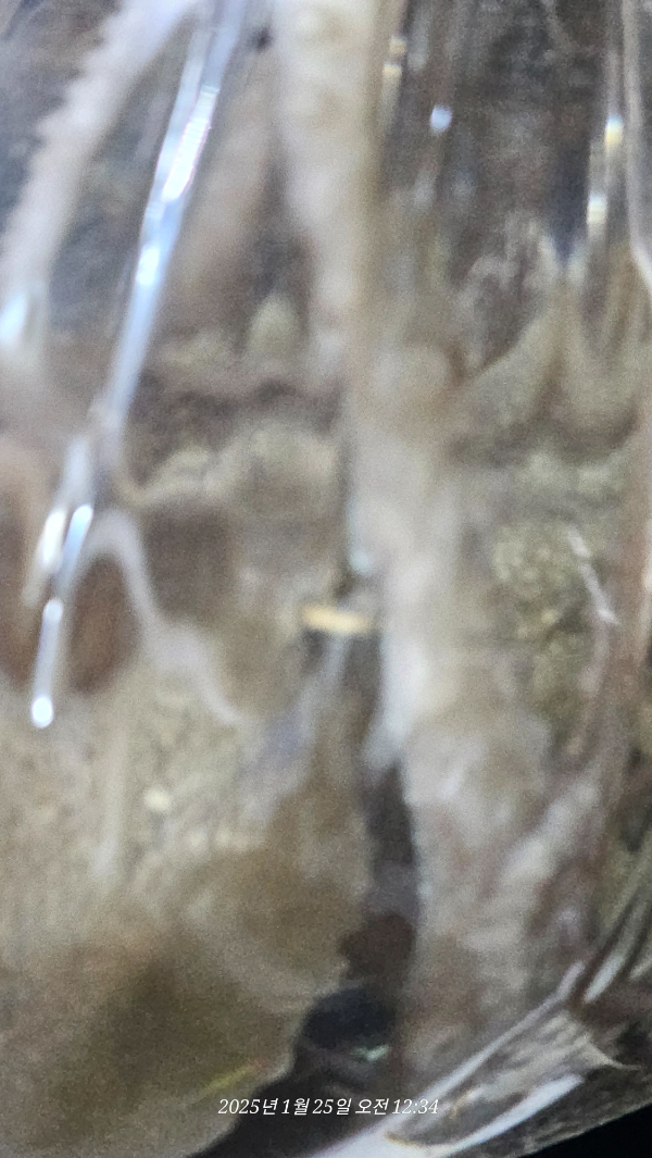 cbfce938c61b10f8b46473aa60120146.jpg