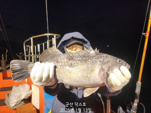 군산 선상낚시, 바다낚시 출조 전문 ☆서군산낚시☆_사진_20250114_1.jpg