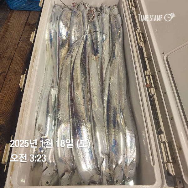 KakaoTalk_20250118_083514716_08.jpg