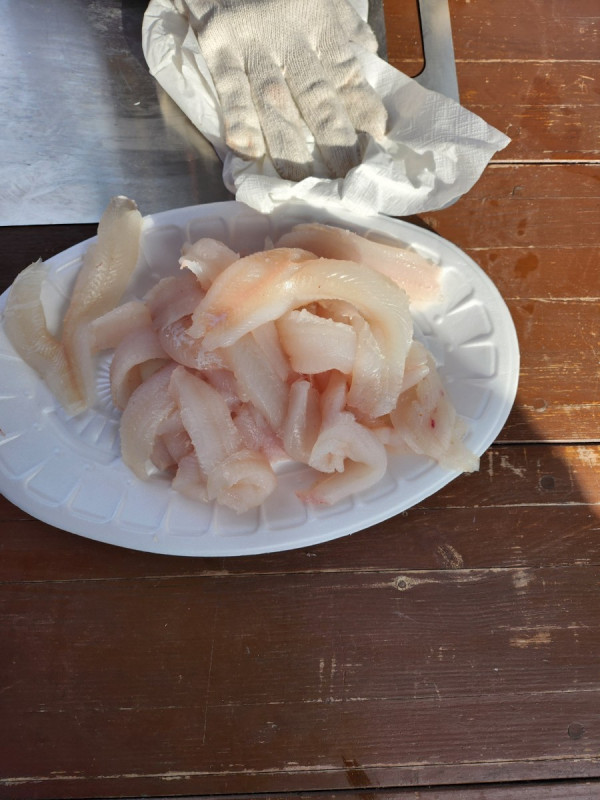 군산 선상낚시, 바다낚시 출조 전문 ☆서군산낚시☆_사진_20250118_7.jpg