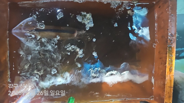 신신낚시 강구점 신신호_사진_20250127_12.jpg