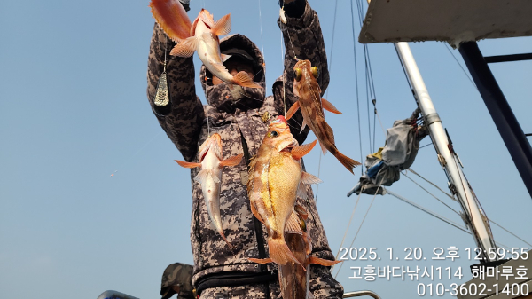 TimePhoto_20250120_125955.jpg
