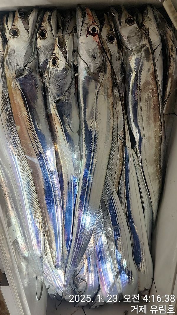 e47fc2319afb7b9fd0d49545cd975c6c.jpg
