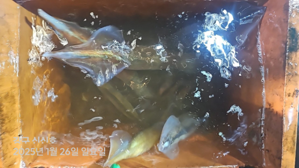 신신낚시 강구점 신신호_사진_20250127_11.jpg