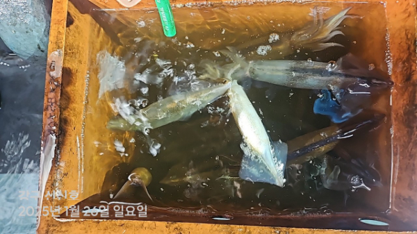 신신낚시 강구점 신신호_사진_20250127_10.jpg