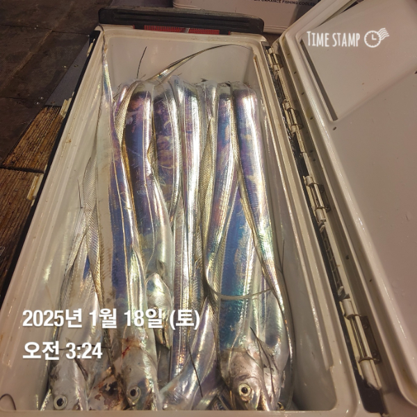 KakaoTalk_20250118_083514716_16.jpg