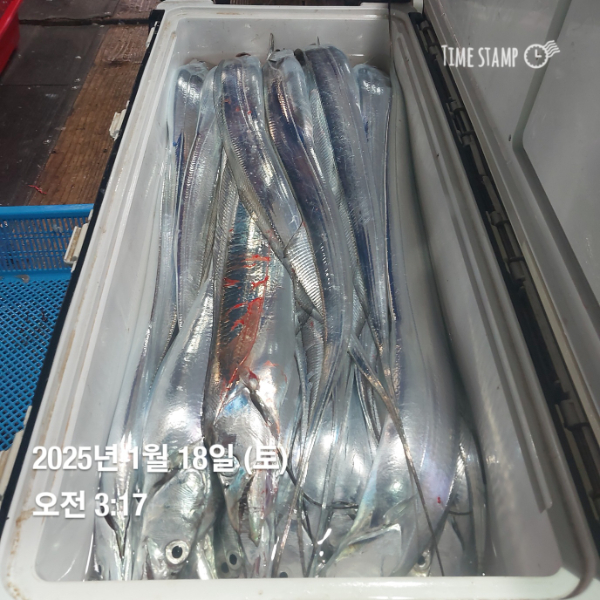 KakaoTalk_20250118_083514716_11.jpg