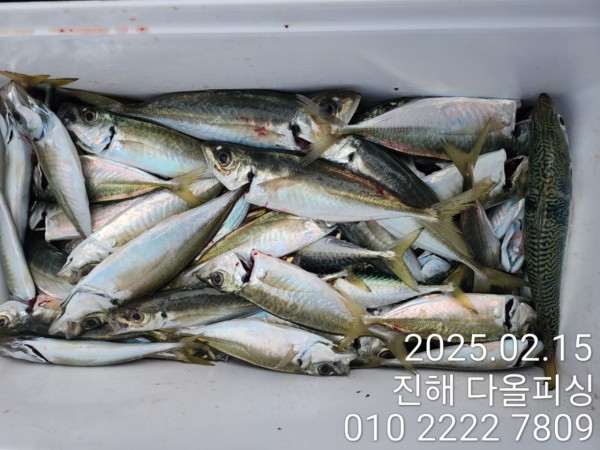 KakaoTalk_20250216_155719350_03.jpg