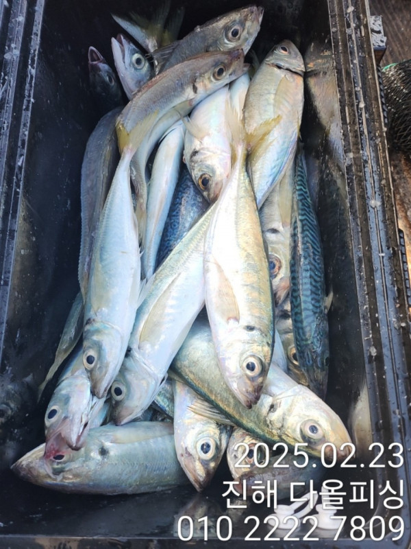 KakaoTalk_20250223_161039268_06.jpg