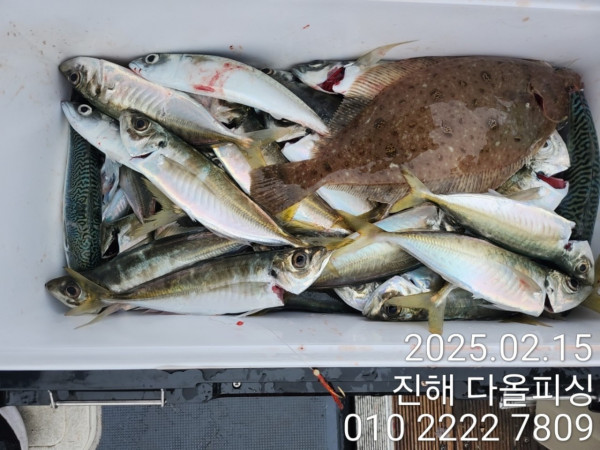 KakaoTalk_20250216_155719350.jpg