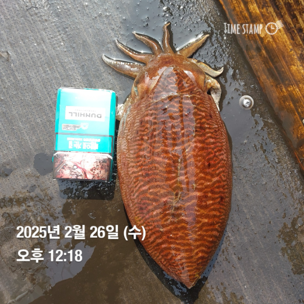 KakaoTalk_20250226_214819985.jpg