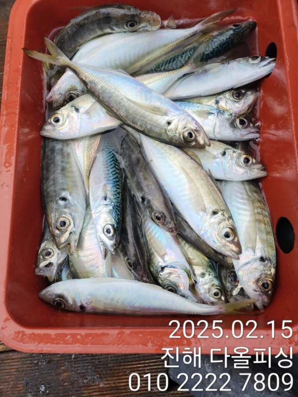 KakaoTalk_20250216_155719350_08.jpg