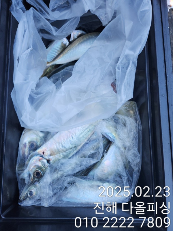 KakaoTalk_20250223_161039268_07.jpg