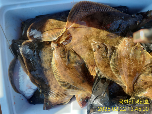 KakaoTalk_20250222_134751489_08.jpg