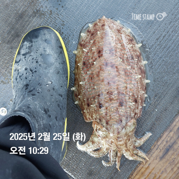 KakaoTalk_20250225_215548673_13.jpg