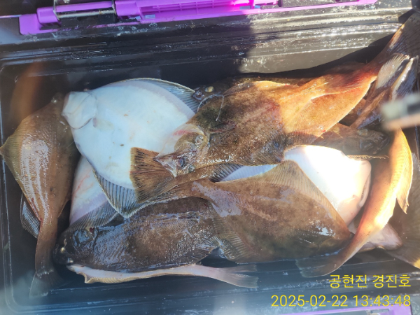 KakaoTalk_20250222_134751489_11.jpg