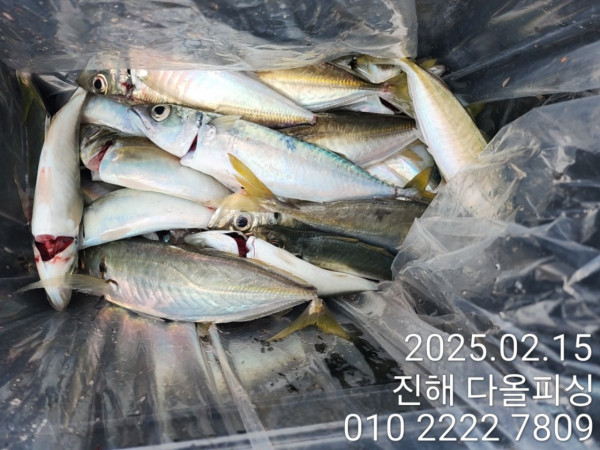 KakaoTalk_20250216_155719350_07.jpg