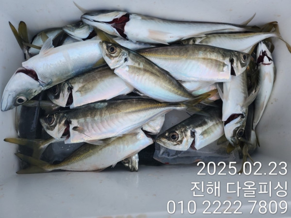 KakaoTalk_20250223_161039268_10.jpg