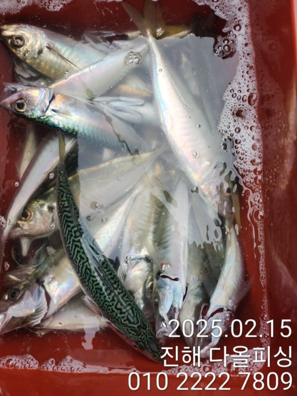 KakaoTalk_20250216_155719350_02.jpg