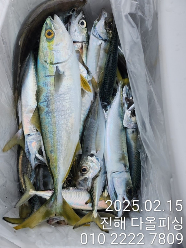 KakaoTalk_20250216_155719350_01.jpg