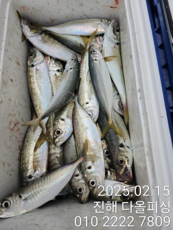 KakaoTalk_20250216_155719350_06.jpg