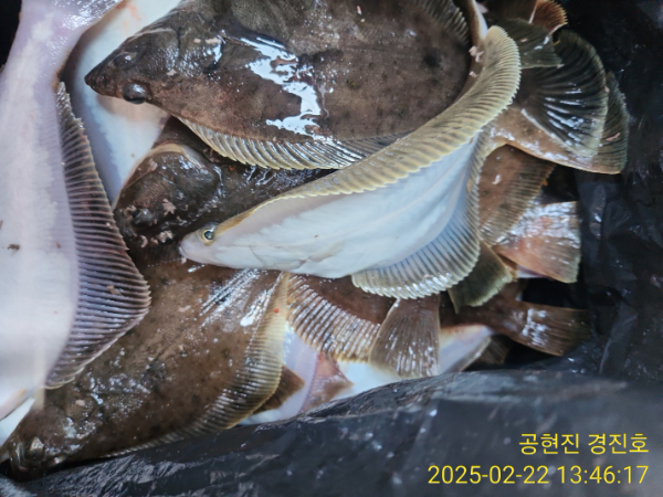 KakaoTalk_20250222_134751489_02.jpg
